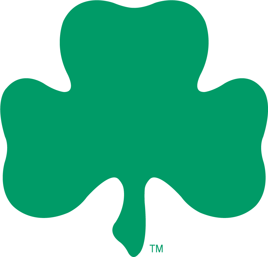 Notre Dame Fighting Irish 1994-2006 Secondary Logo DIY iron on transfer (heat transfer)